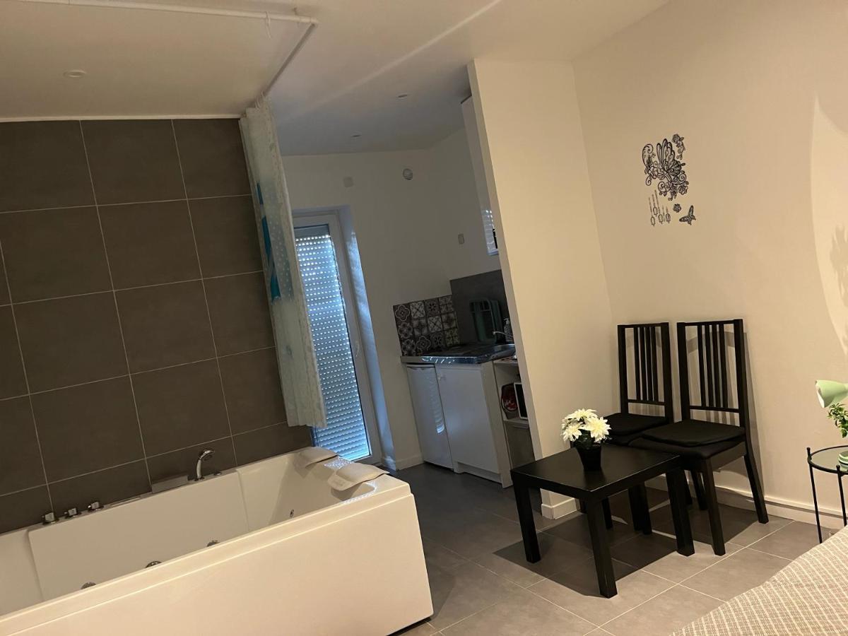 Superbe Jacuzzi Cdg Apartment *